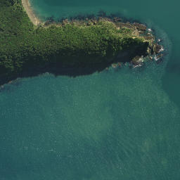 Satellite imagery of Tareha Point, NZ