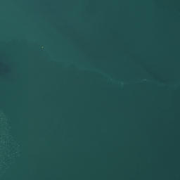 Satellite imagery of Tareha Point, NZ