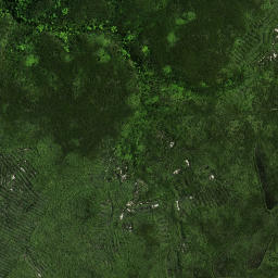 Satellite imagery of Rokika Pa, NZ