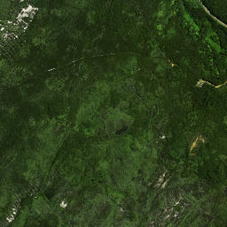 Satellite imagery of Rokika Pa, NZ