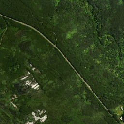 Satellite imagery of Rokika Pa, NZ