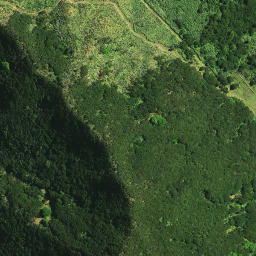 Satellite imagery of Pukeko Pa, NZ