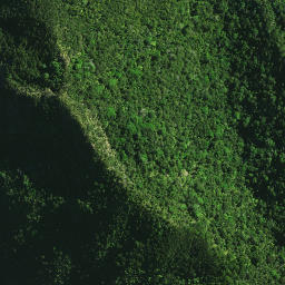 Satellite imagery of Pukeko Pa, NZ