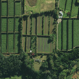 Satellite imagery of RM 18 SO 55463, NZ