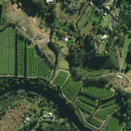 Satellite imagery of RM 18 SO 55463, NZ