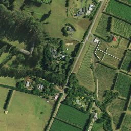 Satellite imagery of 1181, NZ