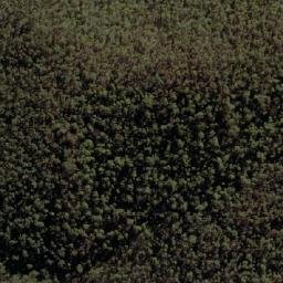 Satellite imagery of Wombat Hill, AU