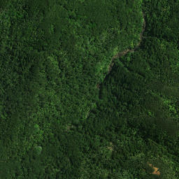 Satellite imagery of Maungatapere Pa, NZ