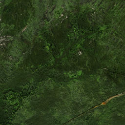 Satellite imagery of Rokika Pa, NZ