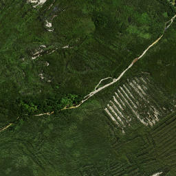 Satellite imagery of Rokika Pa, NZ