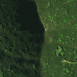 Satellite imagery of Pukeko Pa, NZ