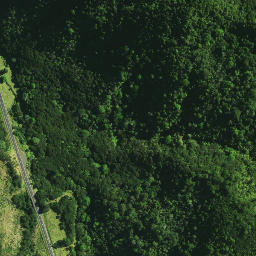 Satellite imagery of Pukeko Pa, NZ