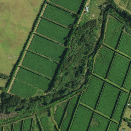 Satellite imagery of 1181, NZ