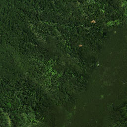 Satellite imagery of Maungatapere Pa, NZ