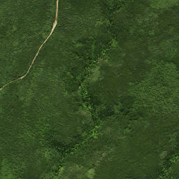 Satellite imagery of Apungi Pa, NZ