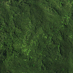 Satellite imagery of Rangiheke Pa, NZ