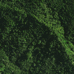 Satellite imagery of Rangiheke Pa, NZ