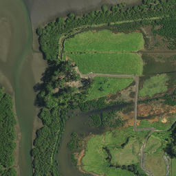 Satellite imagery of L NO 2 (Kerikeri SD), NZ