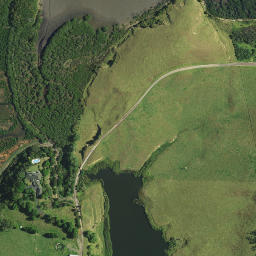 Satellite imagery of L NO 2 (Kerikeri SD), NZ