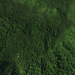 Satellite imagery of Rangiheke Pa, NZ