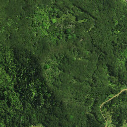 Satellite imagery of Rangiheke Pa, NZ