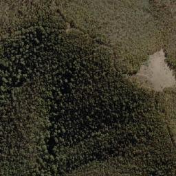 Satellite imagery of Pig Hill, AU