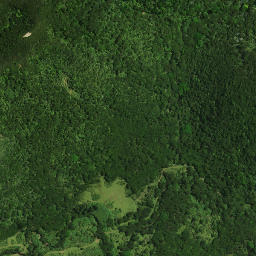 Satellite imagery of Apungi Pa, NZ