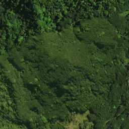 Satellite imagery of Rangiheke Pa, NZ