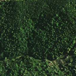 Satellite imagery of TURANGAMOAKE, NZ