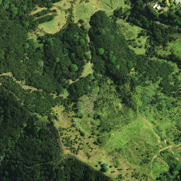 Satellite imagery of Whinau Pa, NZ