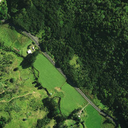 Satellite imagery of Whinau Pa, NZ