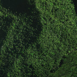 Satellite imagery of Whinau Pa, NZ
