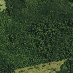 Satellite imagery of P PAUTOUTO, NZ