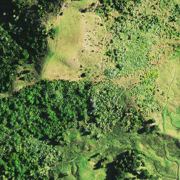 Satellite imagery of TURANGAMOAKE, NZ