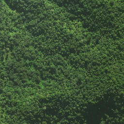 Satellite imagery of Pukatea Ridge, NZ
