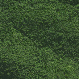 Satellite imagery of Pukatea Ridge, NZ