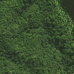 Satellite imagery of Pukatea Ridge, NZ
