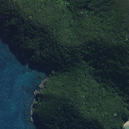 Satellite imagery of Pupuha Point, NZ