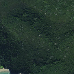 Satellite imagery of Pupuha Point, NZ