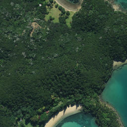 Satellite imagery of Pupuha Point, NZ