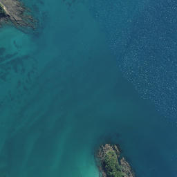 Satellite imagery of Whau Point, NZ