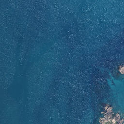 Satellite imagery of Whau Point, NZ