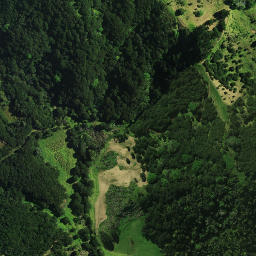 Satellite imagery of Whinau Pa, NZ