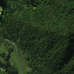 Satellite imagery of Whinau Pa, NZ