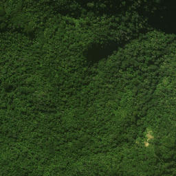 Satellite imagery of OROWHANO NO 2, NZ