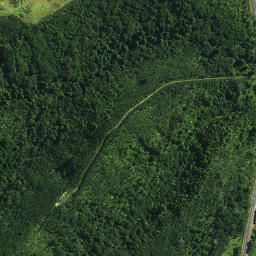 Satellite imagery of P PAUTOUTO, NZ