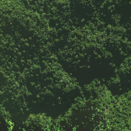 Satellite imagery of Pukatea Ridge, NZ