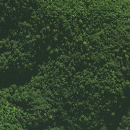 Satellite imagery of Pukatea Ridge, NZ