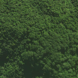Satellite imagery of Pukatea Ridge, NZ