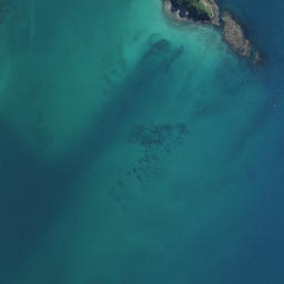 Satellite imagery of Whau Point, NZ